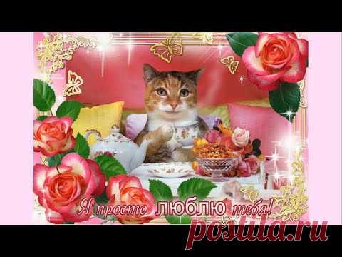 Милая моя кошечка! 
Меня зовут Любовь Седикова.

Делаю на заказ поздравительные анимационные открытки, говорящие анимационные открытки, анимационные слайды, музыкальные анимационные открытки - плейкасты, гифки, маленькие слайды.     Заказы принимаю личным сообщением.