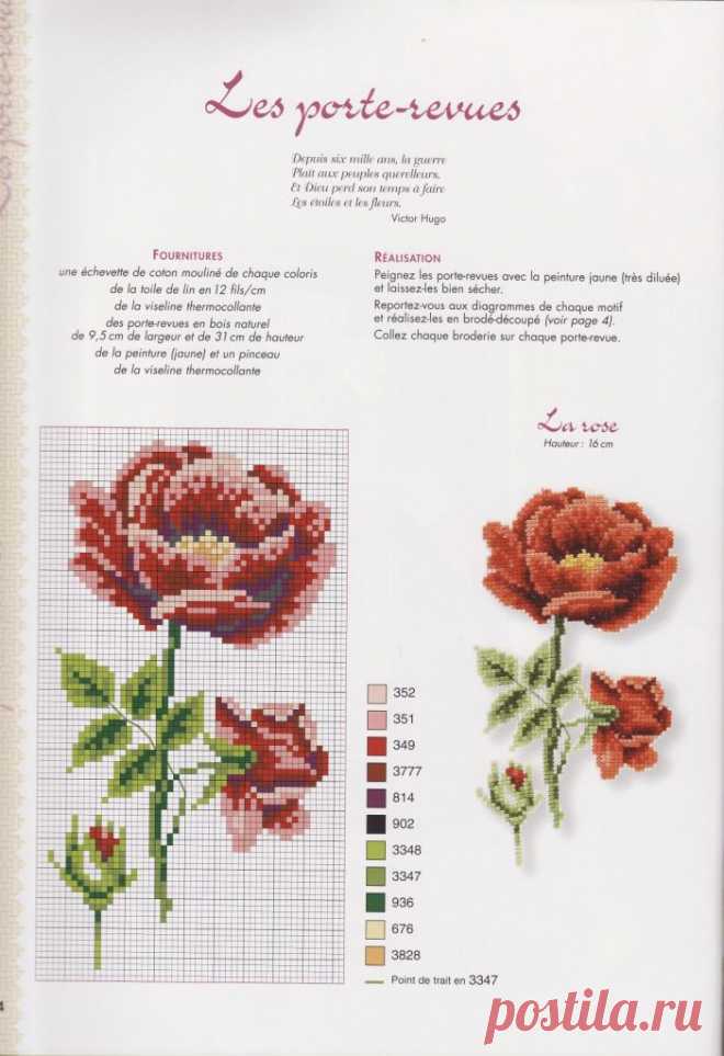 Autour du jardin (44).jpg