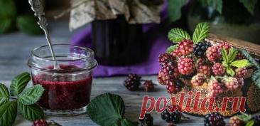 ТКЕМАЛИ ИЗ ЕЖЕВИКИ НА ЗИМУ