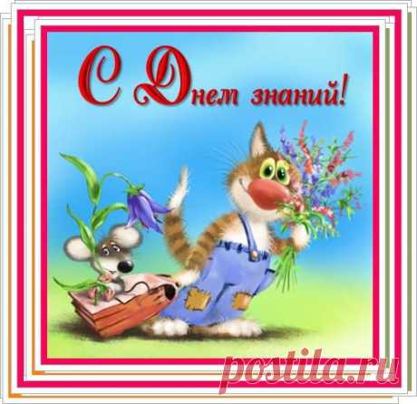 День знаний - это праздник всей страны!
Когда все школы двери открывают,
И всюду смех счастливый детворы,
И клёны в красном в школах всех встречают,
Мы поздравляем каждого из нас
С прекрасным праздником осенним и желаем,
Чтоб стал прекрасным стартом в жизни класс,
В котором осенью учиться начинаем.