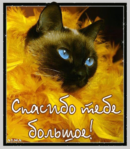 Фото@Mail.Ru: *** R@ff@ello *** : Антонимы