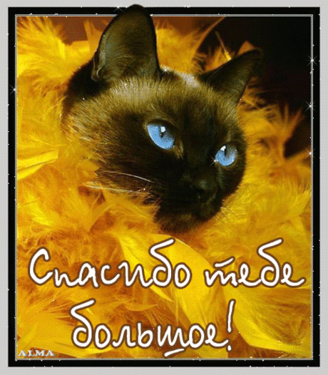 Фото@Mail.Ru: *** R@ff@ello *** : Антонимы