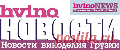 Hvino-Новости | Новости виноделия Грузии: "Саперави — самый желанный и самый дорогой сорт грузинского винограда"