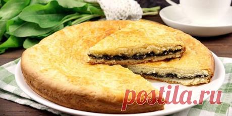 Что приготовить из щавеля: 11 вкусных блюд с пикантной кислинкой - Лайфхакер