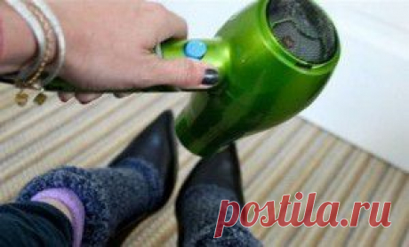 Яркие идеи для дачи