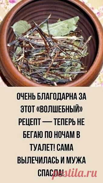 Запись на стене РЕЦЕПТ: Многие пожилые люди страдают от недержания мочи. Меня и моего мужа тоже мучила эта напасть. Укротить ее нам помогли веточки вишни. Лечиться ими можно в любое время года. Наломать веточек такой длины, чтобы влезли в чайник или кастрюлю, заполнить ими посуду так, чтобы дно ее было полностью покрыто, влить воды в 4 раза больше по объему, довести до кипения и прокипятить 15 минут. Пить этот отвар, когда и сколько захочется, вместо во...