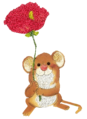 Маки на фото, рисунки и картинки с маками
