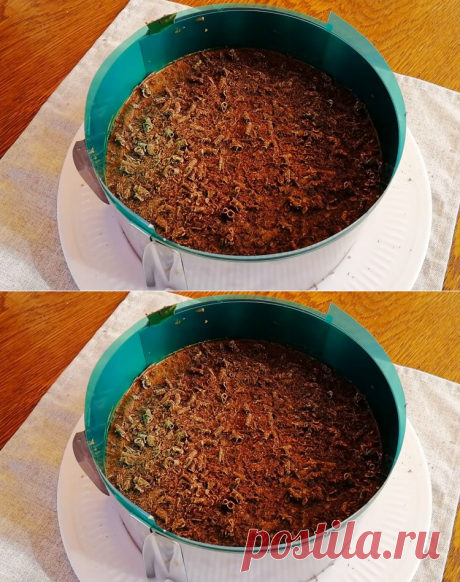 Торт в мясорубке - это настоящая фантастика! 🧚‍♂️