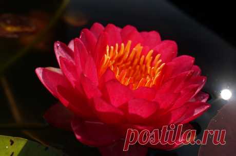 Редактировать описание