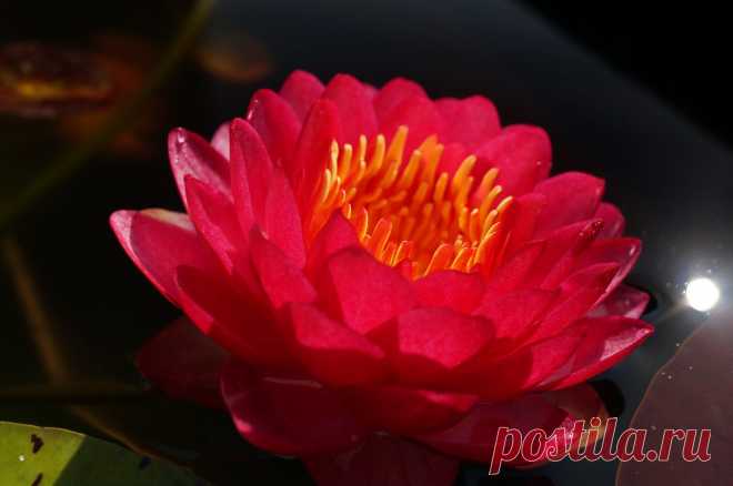 Редактировать описание