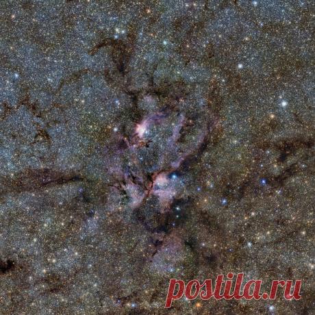 На новом снимке, полученном в ESO с телескопом VISTA -  светящиеся газовые облака и пылевые волокна вокруг молодых горячих звезд. Это инфракрасное изображение, в необычном свете показывающее звездные &quot;ясли&quot; NGC 6357, получено в ходе выполняемого сейчас с телескопом VISTA сканирования Млечного Пути с целью построения подробной структурной карты нашей Галактики, которая позволит понять, как сформировалась наша звездная система. / Физика невозможного!