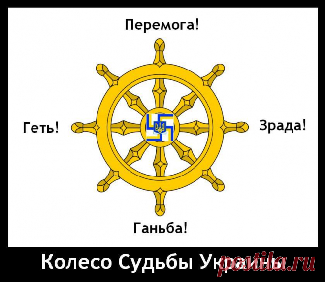 (86) Facebook