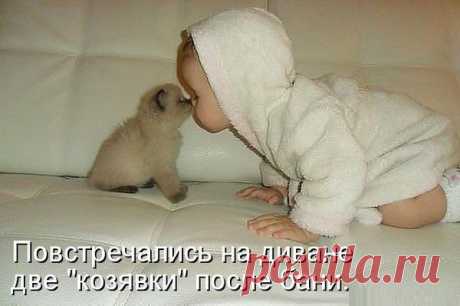 Марина Леди