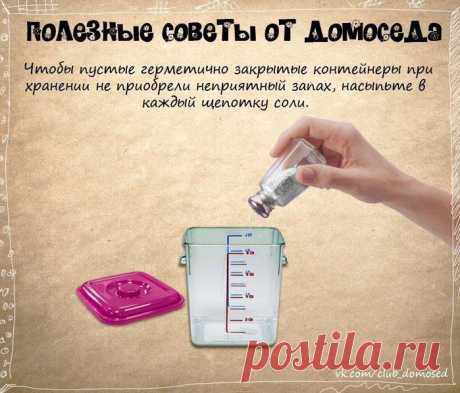 СОВЕТЫ ОТ ДОМОСЕДА.