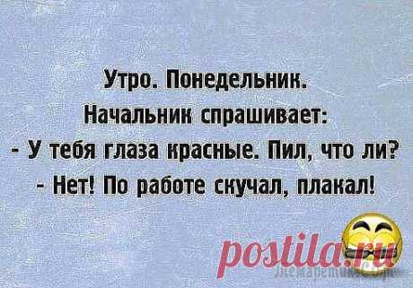 Анекдоты в картинках или картинки в анекдотах-7