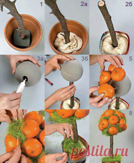 (57) Одноклассники