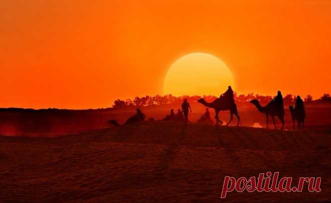 8 самых интересных фактов о пустыне Сахара.