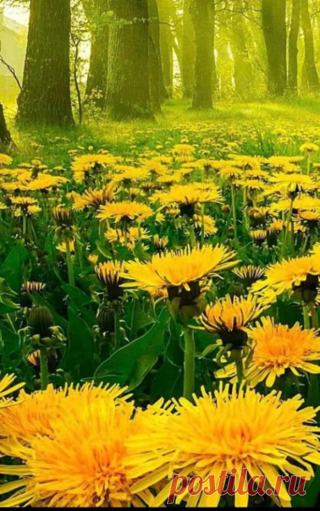 Ах, как захватывает дух такая красота!