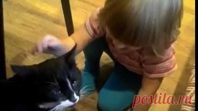 Девочка успокаивает кота