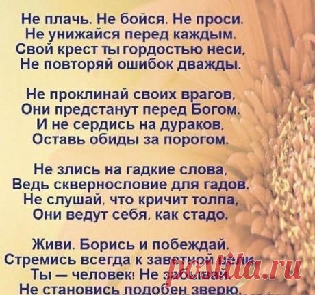 Вязание спицами