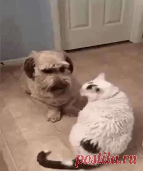 Меня нельзя игнорировать!..Я женщина нервная )))