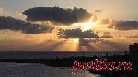 Мужчина рисует гифки с напоминаниями, почему мы так любим лето — Хамелеон