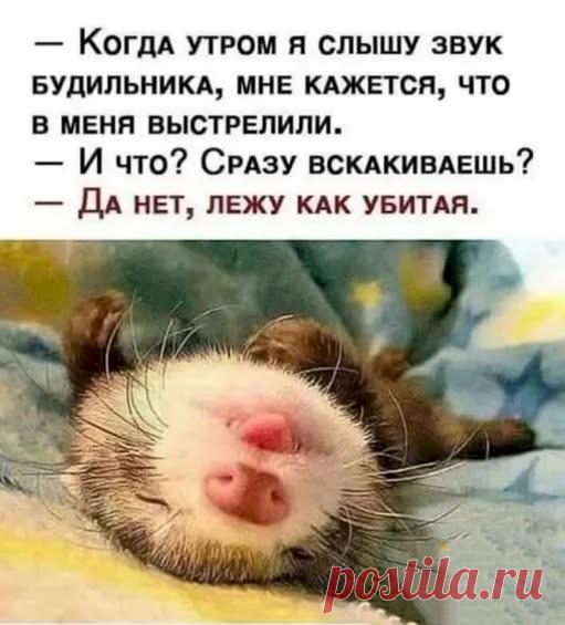 bdd6fef2.jpg (511×565)