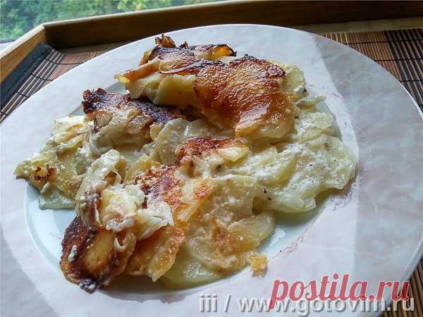 Тушёно-томлёный картофель с луком и сметаной