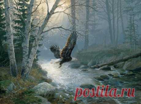 Художник-анималист Persis Clayton Weirs (98 работ) » Картины, художники, фотографы на Nevsepic