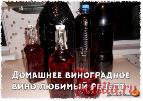 Домашнее виноградное вино любимый рецепт
Если у вас дома растет обыкновенный виноград, и вы даже не знаете, как называется этот сорт, поздравляю вас! Из этого простого сорта можно сделать прекрасное виноградное вино в домашних условиях, главное, соблюдать рецепт и не нарушать технологию.
Когда виноград созреет, а об этом будете знать только вы, потому, что сорта все разные и срок созревания у всех разный, собрать его. Из двух больших ведер винограда получится приблизительн...
