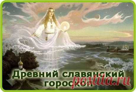 (58) Одноклассники