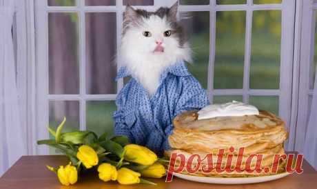 – 7 Марта 2019 г. – Четверг • Масленица - Широкий разгул • День прогуливания уроков • День тёплого одеяла • День рождения телефонного аппарата143 года • День основания Общества спасения на водах (ОСВОД)147 лет • Всемирный день математики (World Math Day)• Национальный день сухих завтраков - США • День учителя - Албания • Именины у Феодора, Филиппа, Афанасия • Маврикиев день