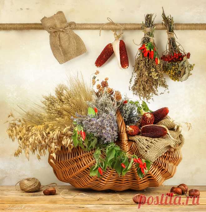 Фотонатюрморты Светланы Лебедевой
