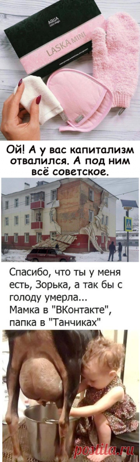 Елена Фомичева
