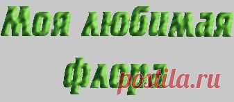 Экзотические растения дома | Моя любимая флора