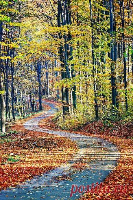 ✯ Country Lane ..rh  - bocanci.org | Fall