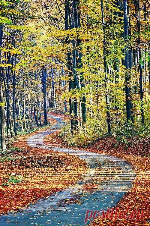 ✯ Country Lane ..rh  - bocanci.org | Fall