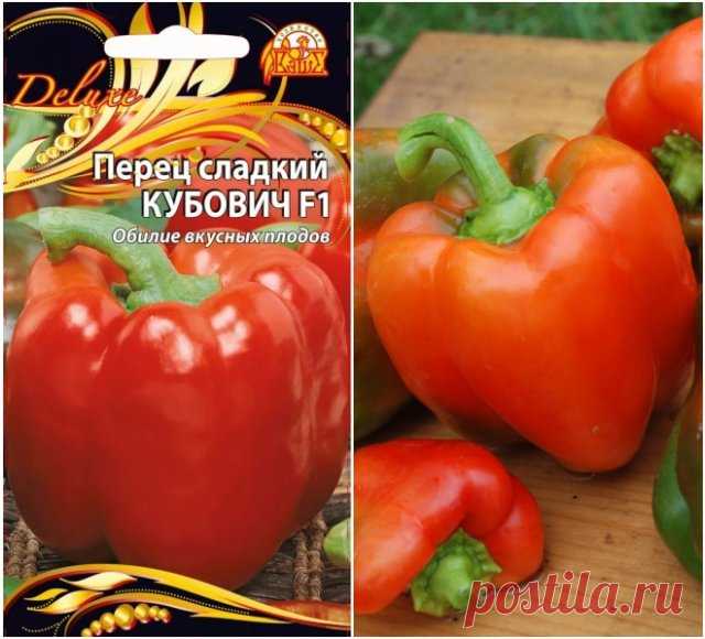 Какие сорта овощей и зелени стоит посадить в сезоне 2022 | Новости (Огород.ru)