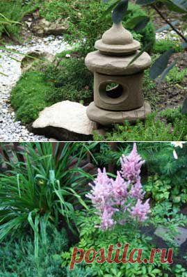 ПОЧВОПОКРОВНЫЕ РАСТЕНИЯ И НЕВЫСОКИЕ ТРАВЯНИСТЫЕ МНОГОЛЕТНИКИ В НАШЕМ САДУ ЯПОНСКОГО СТИЛЯ Часть 2