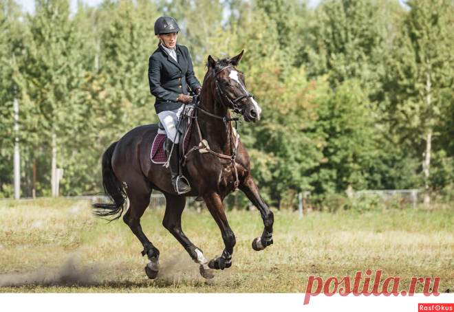 Фото: Конкур. Фотограф Сан Саныч. Спорт - Фотосайт Расфокус.ру