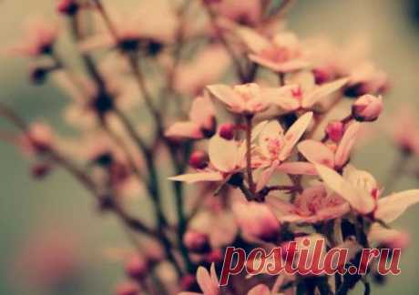 ТОП 8 МИФОВ О РАКЕ МОЛОЧНОЙ ЖЕЛЕЗЫ И 10 ПУТЕЙ ПРЕДОТВРАЩЕНИЯ