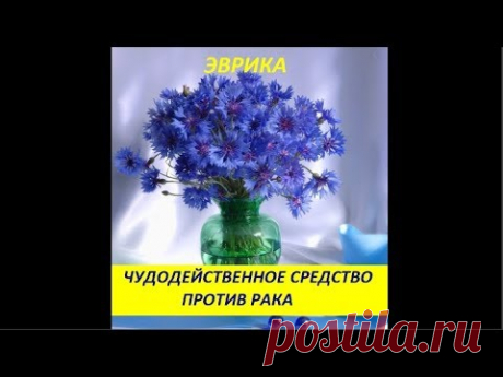 ЭВРИКА: Чудодейственное средство против рака.  № 1502