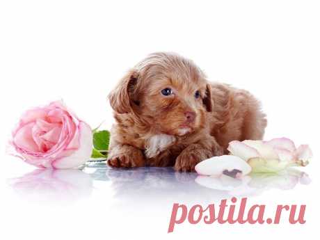 Письмо «сообщение Schamada : Обои на рабочий стол. (22:42 31-05-2014) [3907317/326373420]» — Schamada — Яндекс.Почта