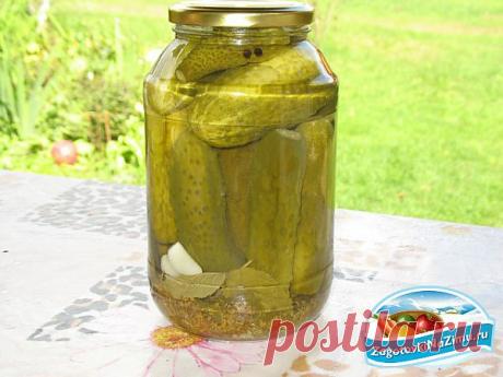 Огурцы маринованные. Рецепт с фото