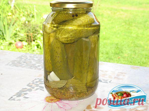 Огурцы маринованные. Рецепт с фото