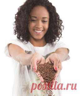 Подписка на рассылку! | Rain international