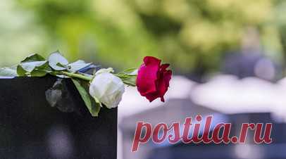 Умерла актриса сериала «Няня» Нэнси Франджионе. На 71-м году жизни скончалась американская актриса Нэнси Франджионе, снявшаяся в таких сериалах, как «Другой мир», «Все мои дети» и «Няня», оригинальной версии российского проекта «Моя прекрасная няня». Читать далее