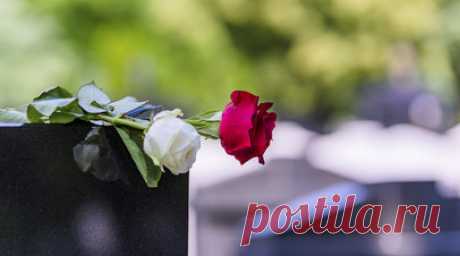 Умерла актриса сериала «Няня» Нэнси Франджионе. На 71-м году жизни скончалась американская актриса Нэнси Франджионе, снявшаяся в таких сериалах, как «Другой мир», «Все мои дети» и «Няня», оригинальной версии российского проекта «Моя прекрасная няня». Читать далее