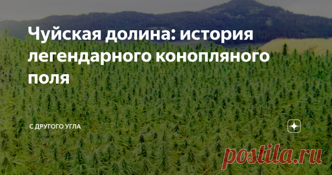 Чуйская долина: история легендарного конопляного поля Кто засадил Чуйскую долину запрещенным растением? Как среднеазиатские власти борются с наркомафией и почему конопляный лес вызвал интерес у ученых?