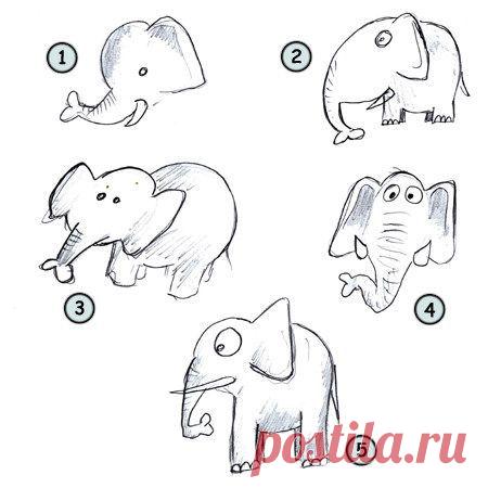How to draw cartoon elephants step 4 | KIDS: Drawing